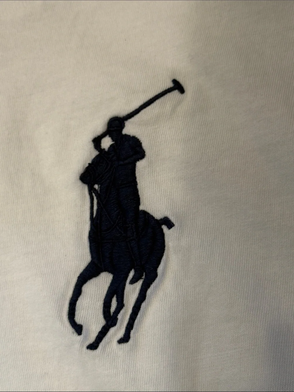 Ralph Large Large Pony long sleeve shirt